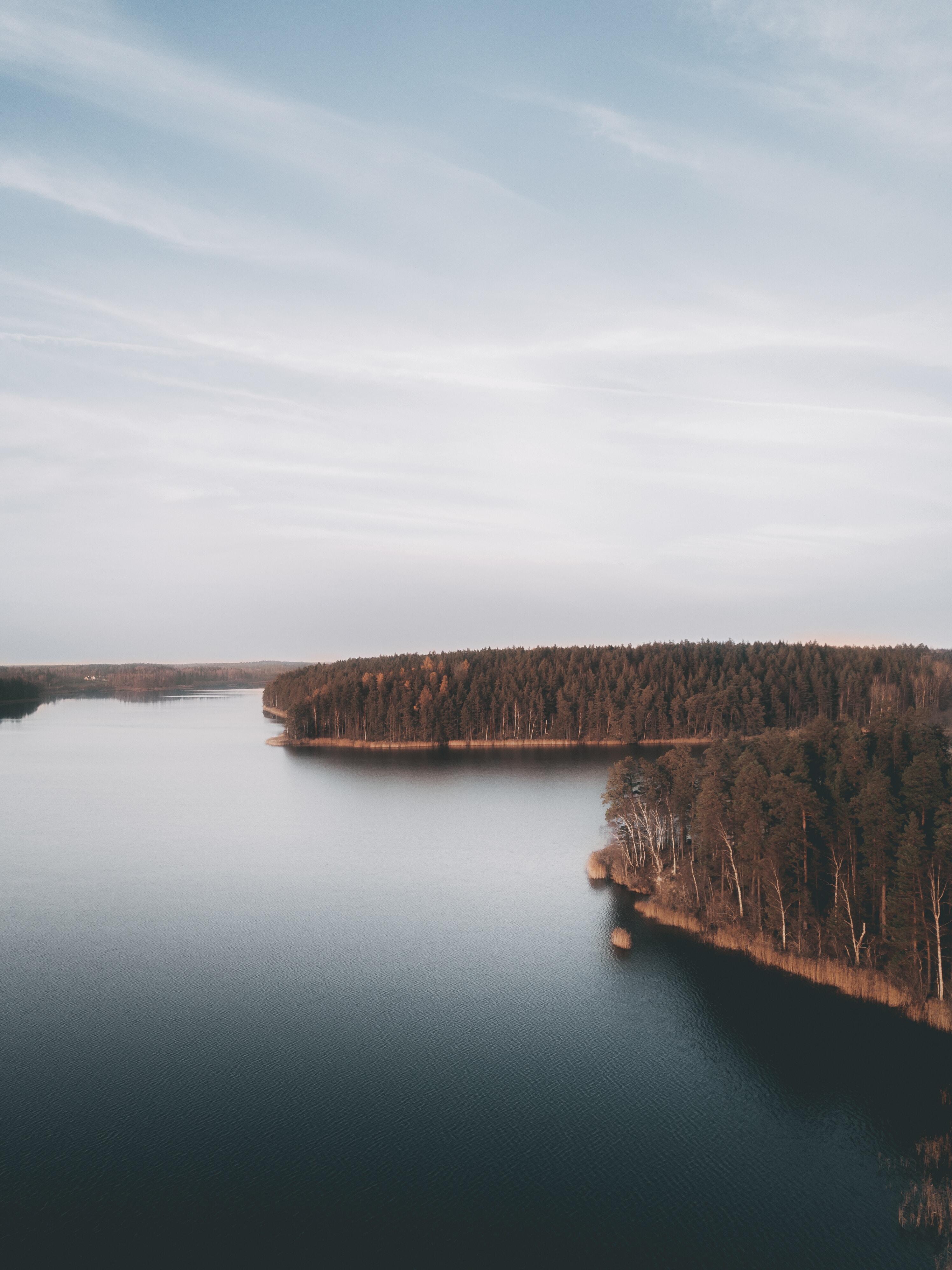 nature-1-2