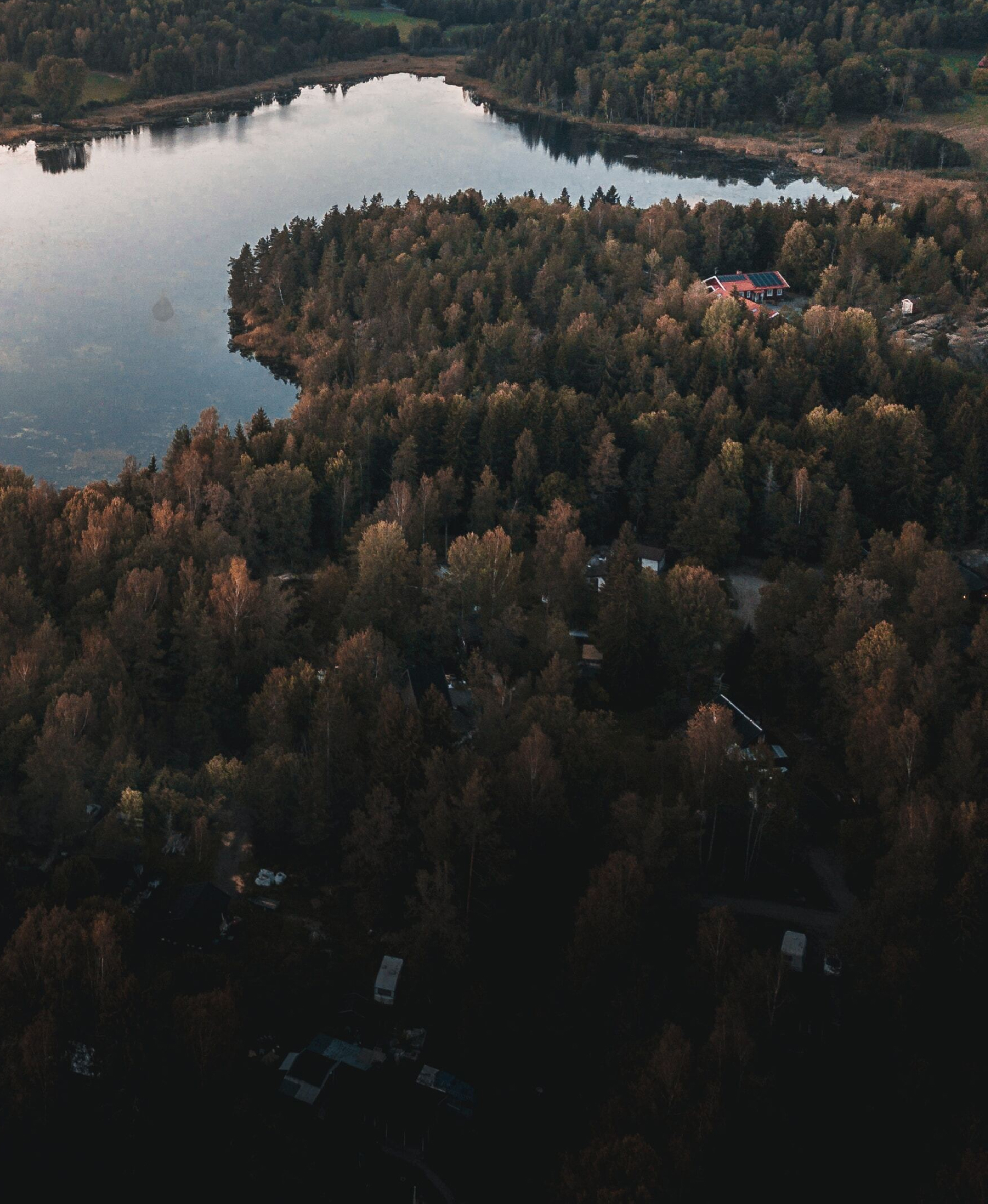 nature-7 2-1