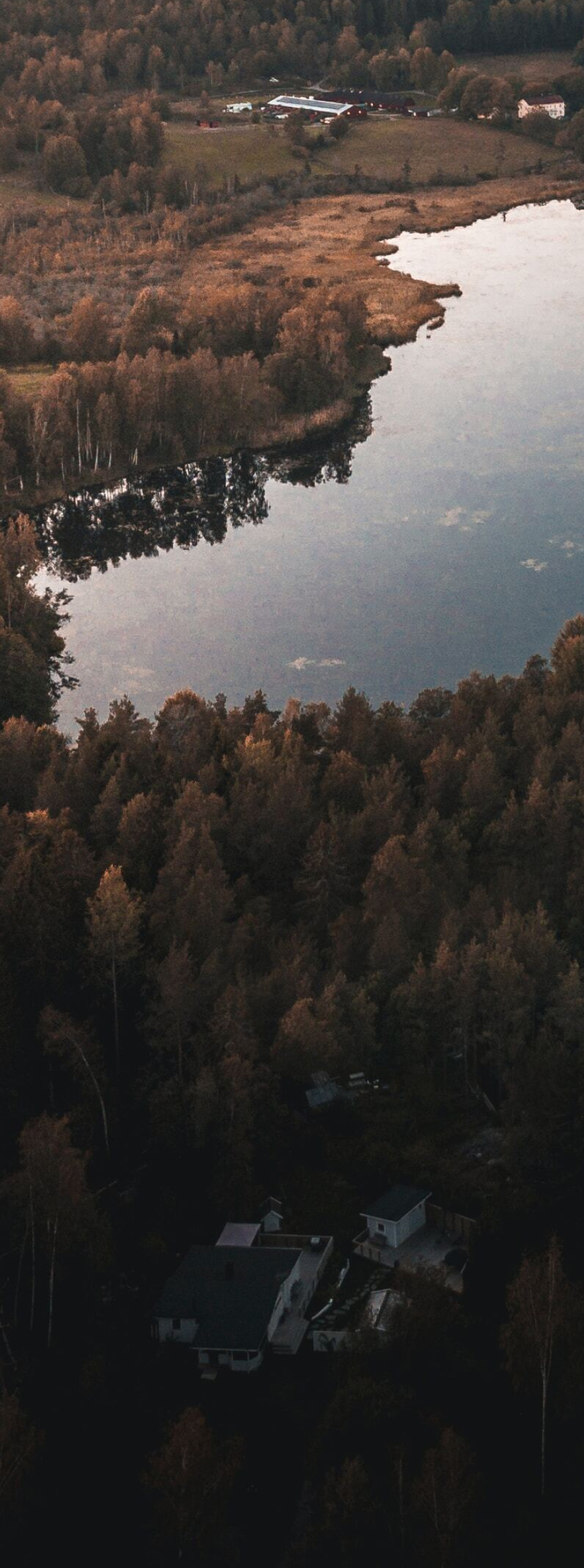 nature-7 2